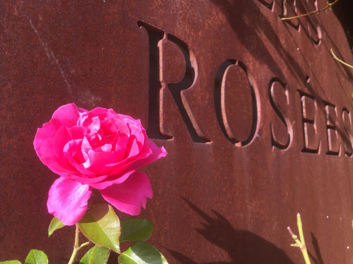 Les Rosees Mougins Exteriör bild